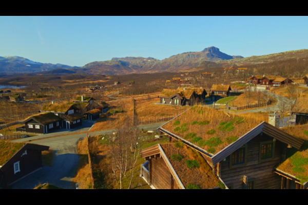 Norwegian Panorama