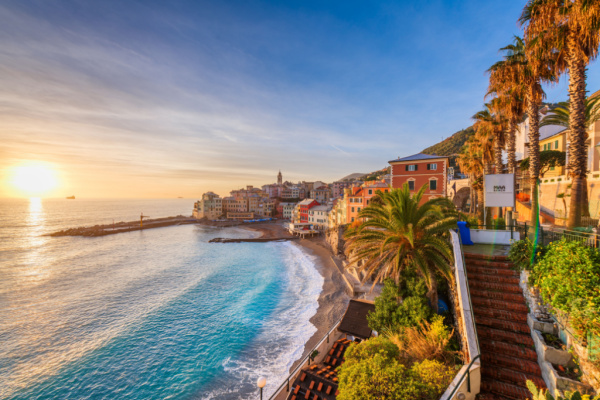 The Best of the Mediterranean
