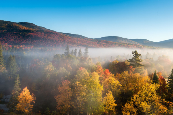Colors Of New England