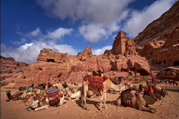Highlights of Israel and Petra