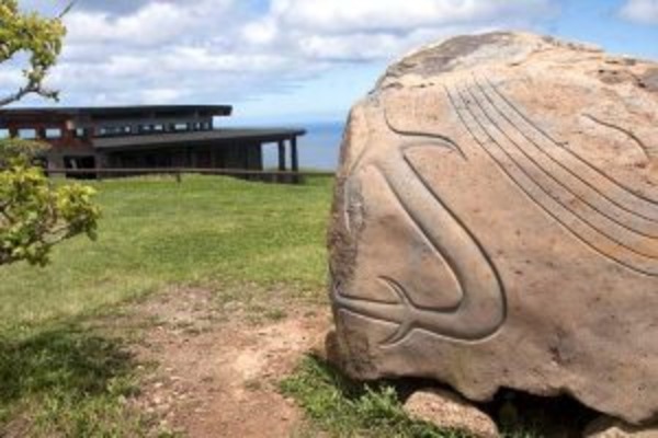 Magical Easter Island