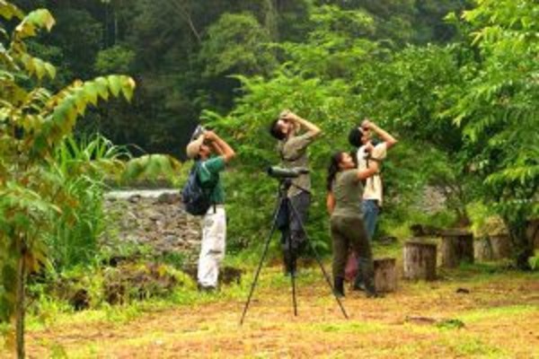 Deluxe Adventure in Costa Rica