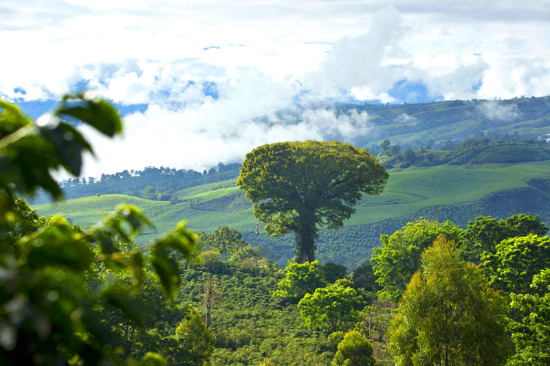 Family Adventure Trip In Costa Rica