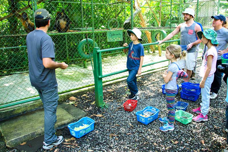 Costa Rica's Untameable South