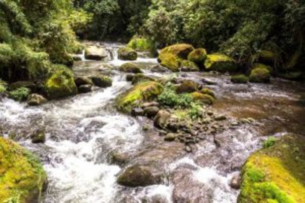 Costa Rica All Inclusive