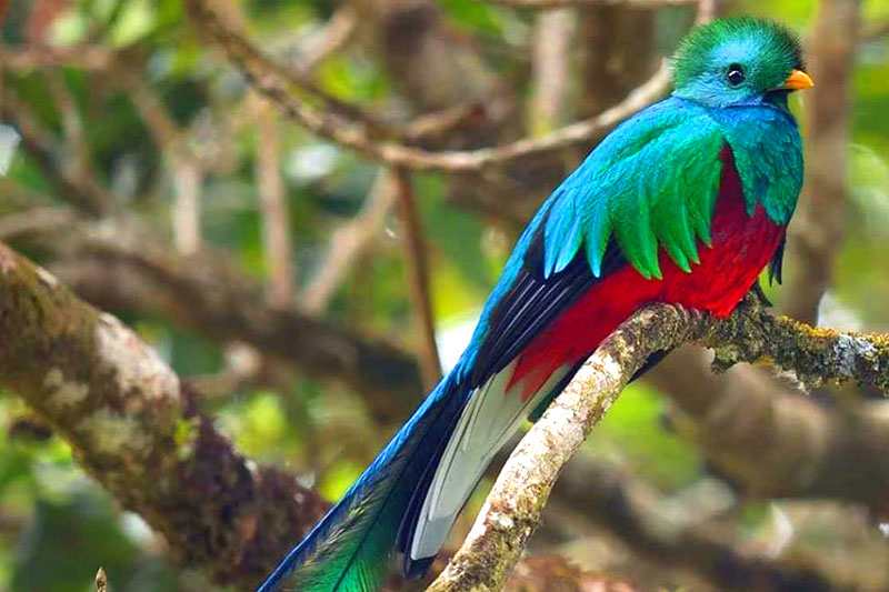 Costa Rica And Nicaragua - The Chorotegan Path