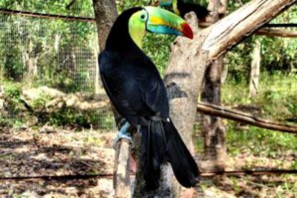 Costa Rica All Inclusive