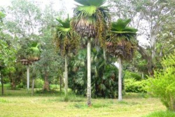 Explore Cuba in Style - Mystique Regis Habana by Royalton 5 *