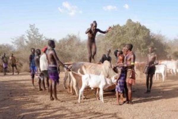 Omo Valley Tribal Tours And Rift Valley