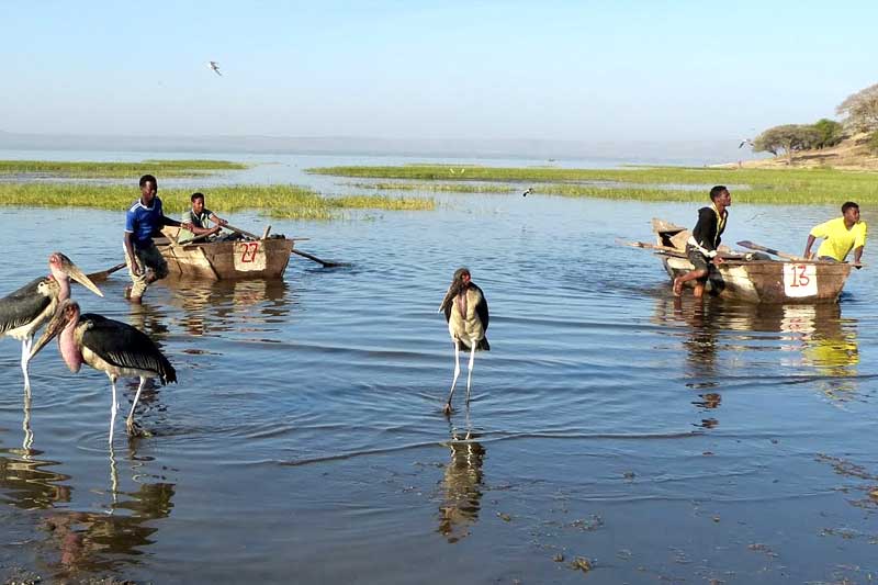 Omo Valley Tribal Tours And Rift Valley