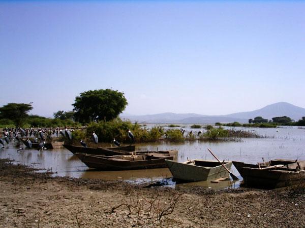 Omo Valley Tribal Tours And Rift Valley