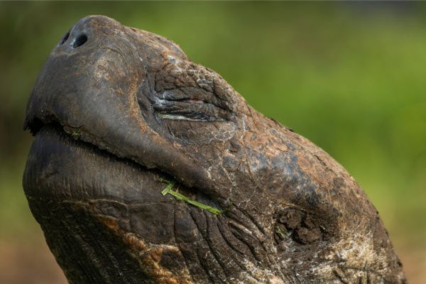 Galapagos Bike Tour
