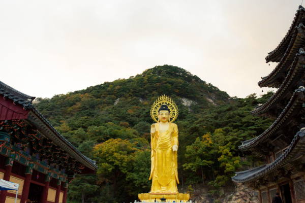 Korea Tour