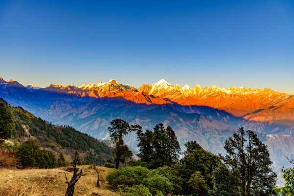Walking in the Indian Himalayas