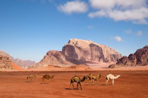 Israel and Jordan City Break