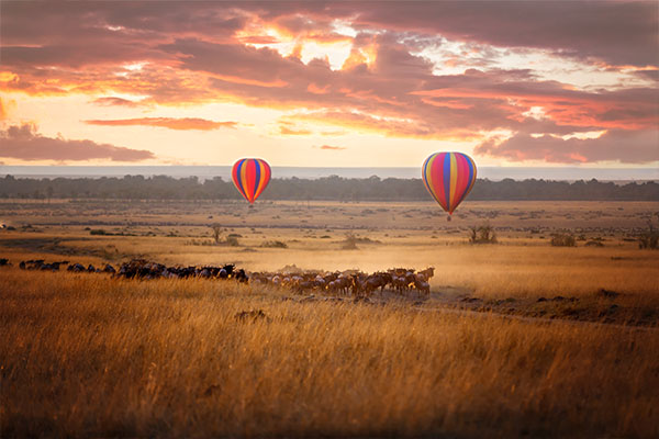 Through The Rift Valley (Sopa Lodge)