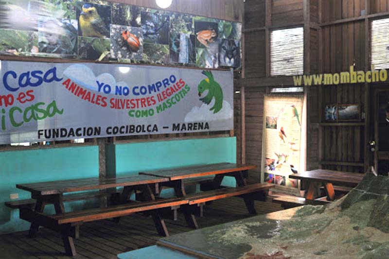 Charming Nicaragua - Seat in Bus