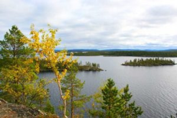Seeking the Northern Light
