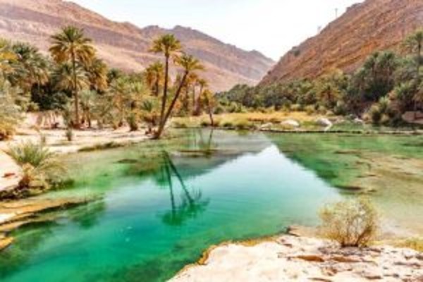 Delightful Oman - 3 Days (Tour of Sur and Nizwa)