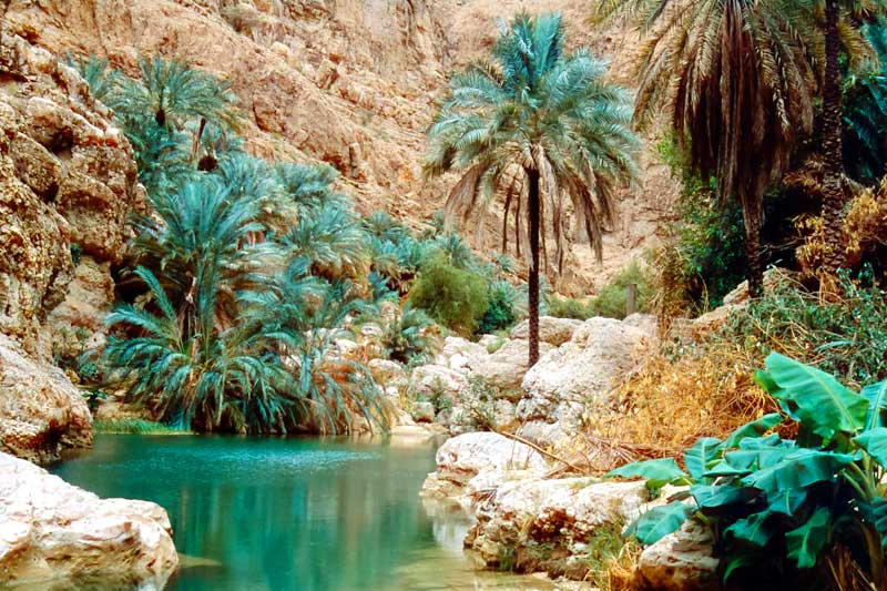 Exotic Oman - 7 Days (Jebel Shams, Jebel Akhdar, Wahiba &amp; Ras AI Hadd)