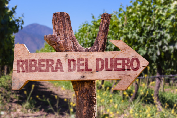 Spain, Wine and Castles, Ribera Del Duero, Rioja, Pamplona, Olite