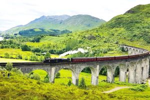 Harry Potter's London - Half Day