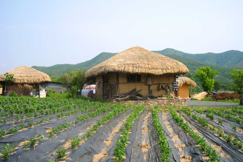 Seoul & Gyeongju & Busan 6 Days Tour