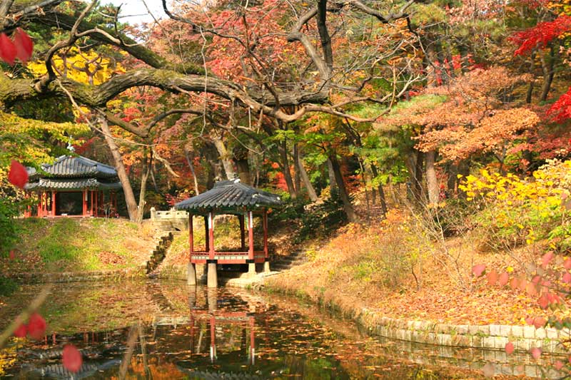 Highlights of Korea