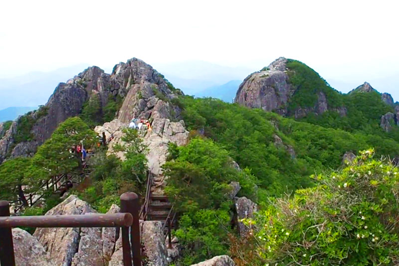 Seoul & Gyeongju & Busan 6 Days Tour