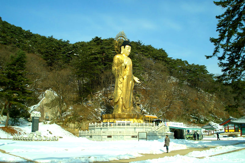 Seoul & Jeju 6 Days Tour
