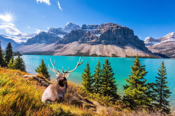 National Park Explorer