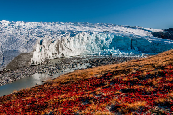 Amazing Days in Ilulissat
