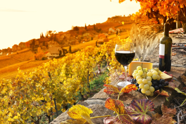 Wine and local cuisine of Austria