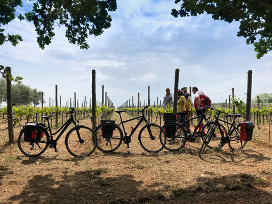 Abruzzo Bike & Wine Weekend 3 days