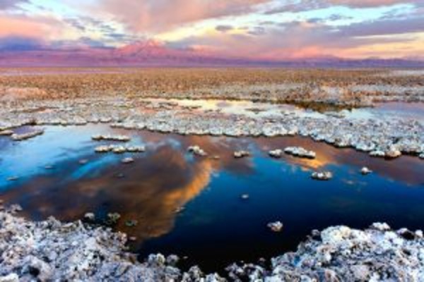The Essential of Altiplanic Deserts