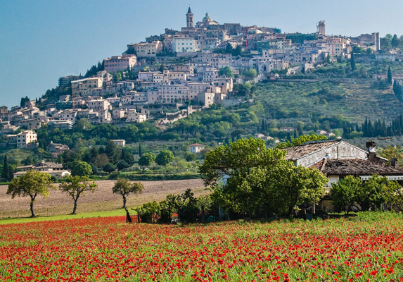 Wine Delights of Piedmont 8 days