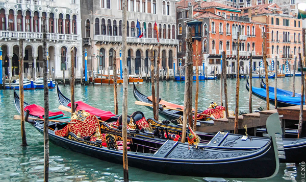 Taste of Venice 4 days