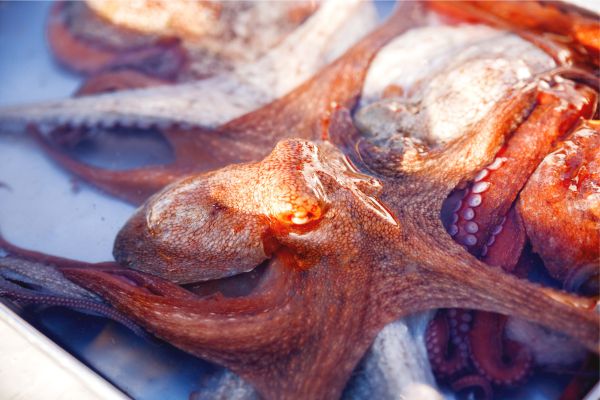 Marsaxlokk Market and Blue Grotto