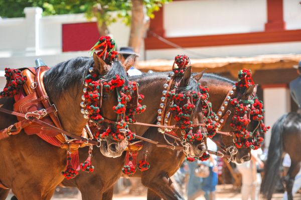 Andalusian Route from Seville