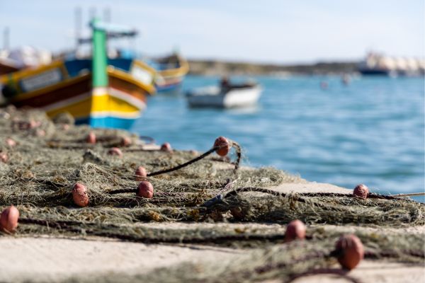 Marsaxlokk Market and Blue Grotto
