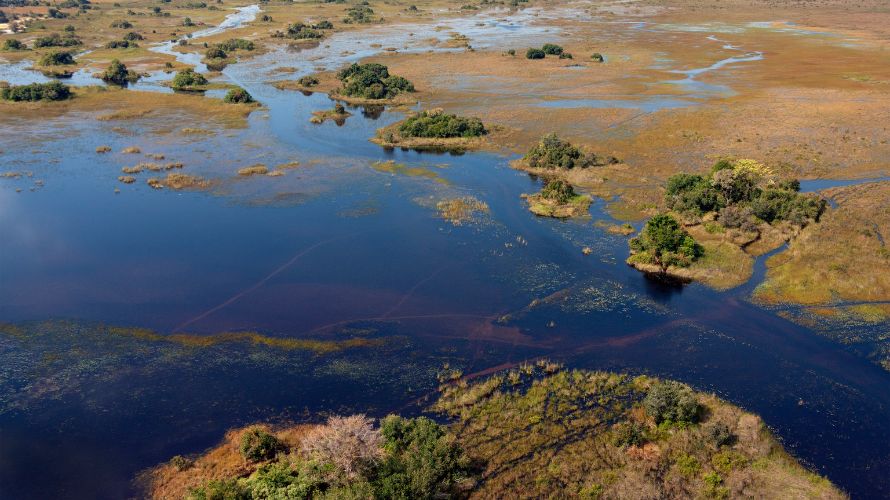 Okavango Delta Explorer