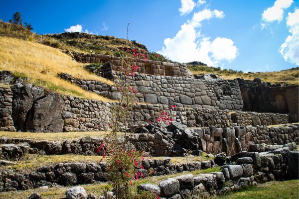 Special Peru