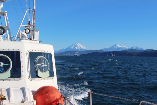 The Essence of Southern Patagonia with Torres Del Paine