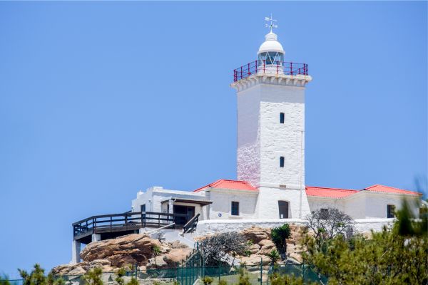 Magnificent Garden Route