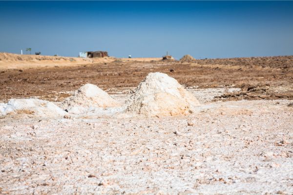 Tunisia By Camel