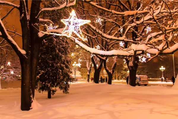 Baltic Highlights New Year