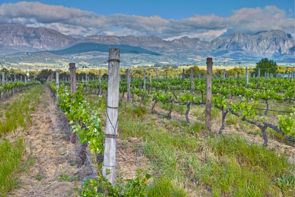 Garden Route Uncovered
