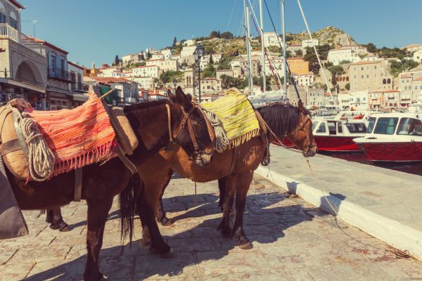 Athens Day Cruise