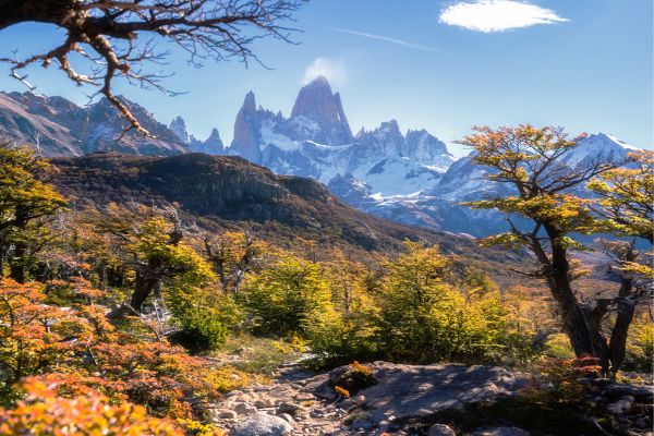 Under the Patagonian Sky