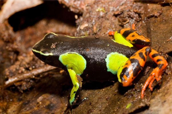 Southern Madagascar
